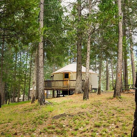 Yosemite Lakes Hillside Yurt 5 Harden Flat Exterior photo