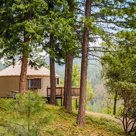 Yosemite Lakes Hillside Yurt 5 Harden Flat Exterior photo