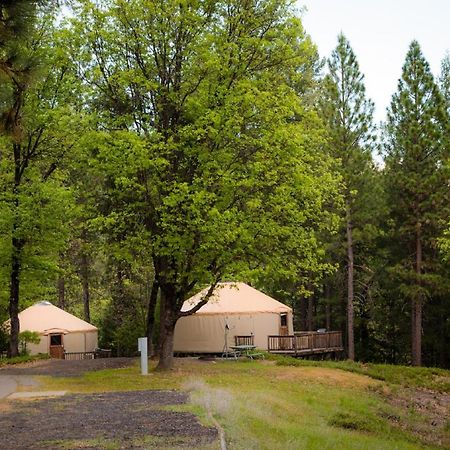Yosemite Lakes Hillside Yurt 5 Harden Flat Exterior photo