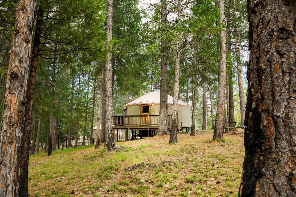 Yosemite Lakes Hillside Yurt 5 Harden Flat Exterior photo