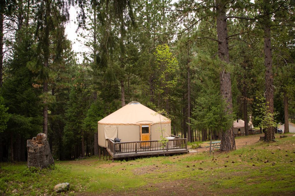 Yosemite Lakes Hillside Yurt 5 Harden Flat Exterior photo